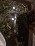 森森（SUNSUN）魚池過濾器大型魚缸過濾桶錦鯉池凈化器水池循環(huán)設(shè)備池塘過濾系統(tǒng) CPF-1500/2噸水（含水泵水管全套） 曬單實拍圖