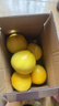 京鮮生 爆汁黃金葡萄柚 凈重5斤 單果300g起 生鮮水果    曬單實(shí)拍圖