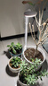 三思京東集采JC系列全光譜植物燈補光燈國家補貼植物生長盆夾燈-12W 曬單實拍圖