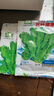 紅莧菜種子圓葉速生蔬菜種子汗菜籽陽臺庭院超耐熱蔬菜種子大全 中葉筒篙皇帝菜約6000粒3包 曬單實拍圖
