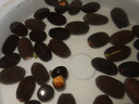 鑫意碗蓮種子室內(nèi)盆栽荷花種子睡蓮四季開花水培碗蓮花卉種子植物種子 混色開口水培碗蓮35粒+營(yíng)養(yǎng)液 含塑料盆+1支營(yíng)養(yǎng)液+1包水晶珠 曬單實(shí)拍圖