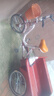 永久老年腳蹬三輪車?yán)先四_踏腳踩自行單車人力車代步拉貨輕便成人 80斗酒紅色-變速雙鏈條-液壓減震 曬單實(shí)拍圖