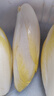 鮮得手禹道【有機菊苣】金玉蘭菜健康營(yíng)養富堿蔬菜 奧運會(huì )指定天津特產(chǎn) 產(chǎn)地現拔避光冷藏（生食涼拌)2斤 曬單實(shí)拍圖