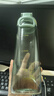 尚泰塑料水杯伊士曼tritan850ml運動直飲杯子帶提環(huán)4703藍 曬單實拍圖