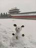 雪中飛【反季清倉】時(shí)尚百搭戶外短款防風(fēng)保暖立領(lǐng)連帽派克極寒羽絨服 黑色|8056 XL 180/96A 曬單實(shí)拍圖