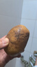【產(chǎn)地直采】新土豆約500g 曬單實拍圖