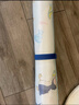 babycare嬰兒抑菌涼席寶寶透氣冰絲席兒童幼兒園可水洗鯨魚噴泉56*100CM 曬單實拍圖