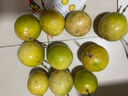 京鮮生 欽蜜9號(hào)黃金百香果 3斤凈重70-90g/15-21個(gè)  生鮮水果 源頭直發(fā) 曬單實(shí)拍圖