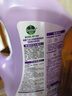滴露（Dettol）熱門商品柔順劑薰衣草2.5L除菌衣物柔順劑持久留香柔軟劑洗衣液 曬單實拍圖