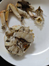 【活蟹】陽(yáng)澄戰地大閘蟹 鮮活大螃蟹公蟹母蟹 海鮮水產(chǎn)生鮮禮盒 公4.0-4.3兩母3.0-3.3兩5對10只 曬單實(shí)拍圖