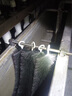 魚(yú)之眼錦鯉魚(yú)池過(guò)濾毛刷過(guò)濾材料魚(yú)缸不銹鋼消音濾材毛圈專(zhuān)業(yè)級水循環(huán) 60cm【黑色毛刷】10支 曬單實(shí)拍圖