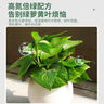 德沃多肥料植物營(yíng)養(yǎng)液通用水培綠植花卉盆栽花肥料發(fā)財(cái)樹蘭花液體肥600ml 曬單實(shí)拍圖