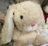 Jellycat米色甜美小兔小短腿公仔動物毛絨玩偶小生日娃娃生日禮物 甜美小兔 One Size 曬單實拍圖