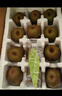 佳沛（zespri）新西蘭  陽光金奇異果16粒禮盒經(jīng)典果單果約 77-103g 水果 獼猴桃 曬單實拍圖
