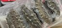 福口居大連即食海參2斤 28-32只 滋補(bǔ)高性價(jià)比遼參 送禮滋補(bǔ)禮盒 曬單實(shí)拍圖