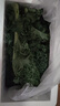 羽衣甘藍(lán)新鮮生鮮蔬菜嫩葉甘蘭芥藍(lán)西餐沙拉榨汁減肥減脂 羽衣甘藍(lán)減脂嘗鮮裝1斤 曬單實(shí)拍圖