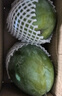 京鮮生 攀枝花凱特芒果 凈重8.5斤 帶箱9斤 單果400g+ 生鮮水果源頭直發(fā) 曬單實(shí)拍圖