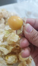 東北菇娘果新鮮當(dāng)季水果顆顆脆甜燈籠果現(xiàn)摘現(xiàn)發(fā)肉厚多汁黃菇娘果 1斤凈重 曬單實(shí)拍圖