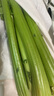 【瘦身減脂】山東大西芹水果西芹去葉新鮮蔬菜新鮮榨汁 帶箱：5斤 曬單實拍圖