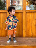 G.DUCKKIDS小黃鴨男童套裝夏季帥氣男寶寶衣服兒童夏裝中小童薄款花襯衫三件 襯衫-短褲兩件套 110 cm 曬單實(shí)拍圖