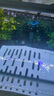 創(chuàng  )寧魚(yú)缸石英變頻加熱棒 CN-605-100W 低水位烏龜小型迷你自動(dòng)恒溫器 曬單實(shí)拍圖