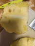 正宗海南金鉆鳳梨新鮮水果當季樹(shù)上熟芒果鳳梨【催熟食用】 1粒裝單果500g-650g【7成熟，催熟再吃】 曬單實(shí)拍圖