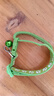【京東物流】寵物牽引繩鈴鐺項圈 脖圈貓咪狗狗外出用品貓狗頸圈 寵物鈴鐺項圈-1個(gè)裝/隨機色 曬單實(shí)拍圖