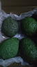 山姆大叔 金獎·哈斯牛油果云南孟連【閃送】當季鱷梨非即食新鮮水果禮盒 【80%選擇】精品果丨約100-130g 4枚【嘗鮮-不劃算】普裝 曬單實(shí)拍圖