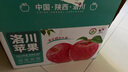 洛川蘋果陜西延安特產(chǎn)紅富士時(shí)令蘋果水果禮盒送蘋果生鮮新鮮脆甜整箱批發(fā) 10斤大果80-85mm（凈重8.5斤） 曬單實(shí)拍圖