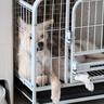 米聆寵物浴袍狗狗吸水毛巾中大型犬柴犬柯基狗狗柔軟速干毛巾衣服浴衣 灰白條紋M（建議體重30-60斤） 曬單實拍圖