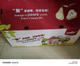 京鮮生 長(cháng)城河北鴨梨 地標產(chǎn)品 凈重10斤 單果200g+ 新鮮當季 生鮮水果 曬單實(shí)拍圖