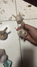 芬騰10條裝丨內(nèi)褲女冰絲聚乳酸7A抗菌內(nèi)襠輕薄隱形無(wú)痕夏季-多款可選 【7A】G款隨機(jī)顏色，共 10條 XL （冰絲款） （120-160斤） 曬單實(shí)拍圖