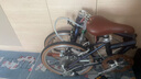 大行（DAHON）D10折疊自行車20英寸10速成人復(fù)古風(fēng)單車HAC003 藍(lán)紫幻彩  曬單實(shí)拍圖