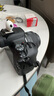 佳能（Canon）EOS R100 迷你微單 小巧輕便微單相機(jī) Vlog拍攝日常記錄 4K視頻家用直播旅游r100照相機(jī) R100+RF-S18-45套機(jī)【日常家用】 套餐一【128G內(nèi)存卡~抗震防雨 曬單實拍圖