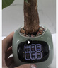 猛龍AI萌寵智能電子情緒花盆植物萌寵機器人盆栽男女生日禮物中秋送禮 曬單實(shí)拍圖