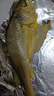 黃小漁寧德黃魚鲞400g/2條 三去大黃魚黃花魚生鮮 海鮮水產(chǎn)燒烤夜宵魚類 曬單實(shí)拍圖