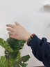 玉畔擎高含量原礦晶體朱砂手串和田玉青玉貔貅本命年朱砂手鏈生日禮物 青玉貔貅虎眼手串/12mm【蛇】 曬單實(shí)拍圖