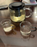蘇氏陶瓷（SUSHI CERAMICS）高硼硅玻璃小茶杯6色裝一人一色耐高溫玻璃水杯 曬單實(shí)拍圖