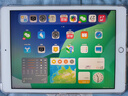 Apple 蘋果平板電腦 iPad 8代 2020款 二手平板電腦 大陸國行 金色 128G 曬單實拍圖