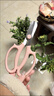 蒲戀園藝修花剪刀花藝剪鮮花插花家用剪花草花枝花店專(zhuān)用工具插花剪刀 【去刺花藝剪】淺粉色 曬單實(shí)拍圖