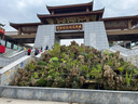 美贊臣  藍臻 幼兒配方奶粉 3段 820g【新國標】 曬單實(shí)拍圖
