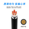 國超電纜 YJV-0.6/1KV-4*70+1*35銅芯國標架空戶(hù)外防老化4+1芯電力電纜 1米【現貨】 曬單實(shí)拍圖