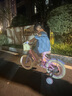 奧仕龍x迪士尼聯(lián)名自行車兒童3-6歲小孩單車4-8歲公主款兒童自行車 冰雪奇緣-艾莎【后座版】禮包 14寸 適合90-105cm 曬單實拍圖