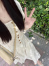 茯見連衣裙新中式國風夏季掐腰顯瘦女裝2025新款韓系氛圍感穿搭長裙 方領(lǐng)印花連衣裙M(建議90-120斤) 曬單實拍圖