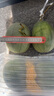 正宗新疆哈密瓜5/9斤新鮮水果當季冰淇淋蜜瓜脆甜蜜香瓜網(wǎng)紋包郵m 9斤整箱 曬單實拍圖