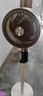 創(chuàng)維【全屋驅(qū)蚊】空氣循環(huán)扇家用電風(fēng)扇落地扇2025新款大風(fēng)量語音遙控輕音節(jié)能臥室小風(fēng)扇Q522 白咖色 曬單實(shí)拍圖