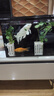 YEE背濾魚缸一體缸自循環(huán)免換水家用客廳生態(tài)魚缸桌面玻璃超白小魚缸 【一體式背濾】50豪華套餐+送整套濾材 曬單實(shí)拍圖