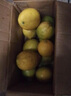 晨木鮮生 四川檸檬 新鮮大果黃檸檬 生鮮水果 5斤裝 曬單實(shí)拍圖