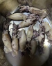 海兔子滿(mǎn)籽墨魚(yú)仔新鮮海兔鮮活帶籽筆管魚(yú)大烏賊籽烏魷魚(yú)海鮮水產(chǎn) 純籽筆管250g*6包 1500g(凈重) 曬單實(shí)拍圖