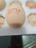 貴州紅心谷物鮮雞蛋 生鮮超市精選大蛋單枚50g起 減脂水煮蛋 高山貴州/【有機雙色】紅心蛋 【10粒雙色蛋】/破蛋包賠50-55g 曬單實(shí)拍圖